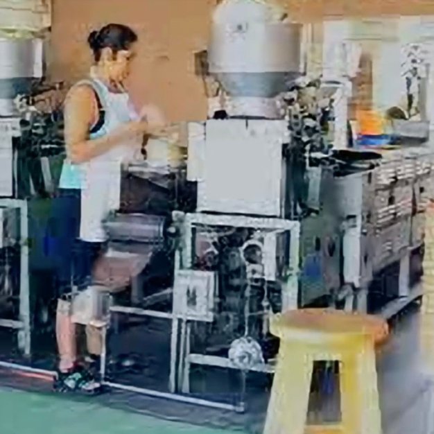 Tortillaville